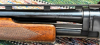 thumbnail_IMG_7855.jpg
