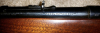 Model-43-218-BEE-308.jpg