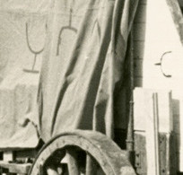 Peeler-Brand-Texas-1950s.jpg