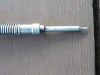 P1100151.JPG