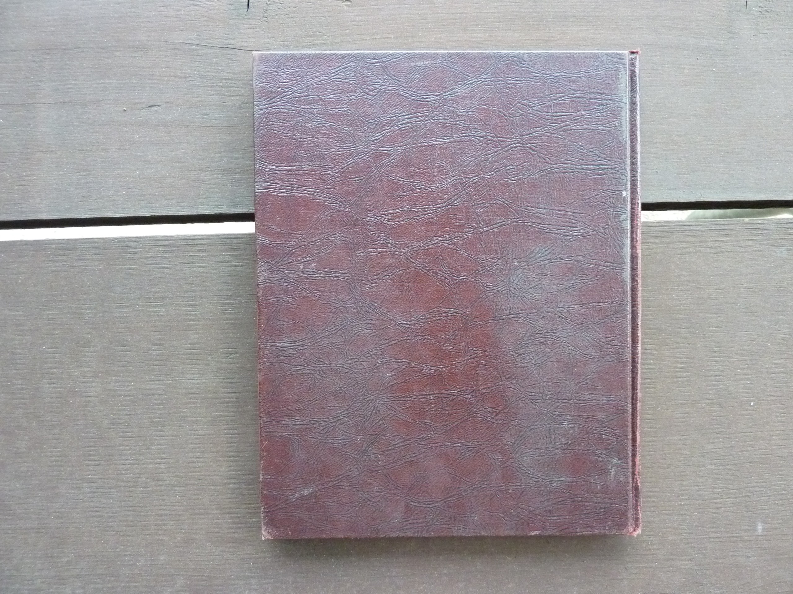 P1110661.JPG