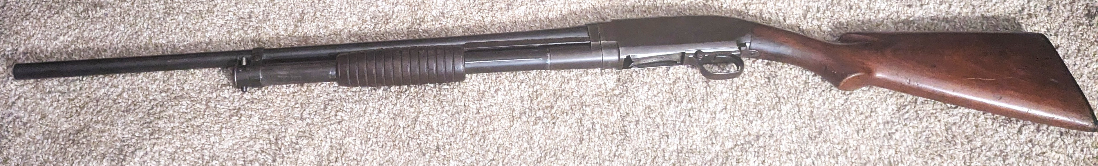 Left-Profile.jpg