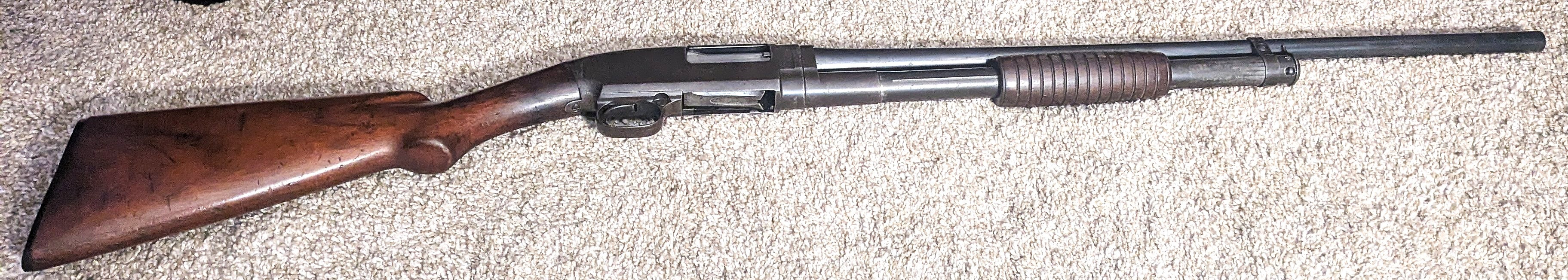 Right-Profile.jpg