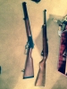 Marlin-and-Ruger-10-22.jpg