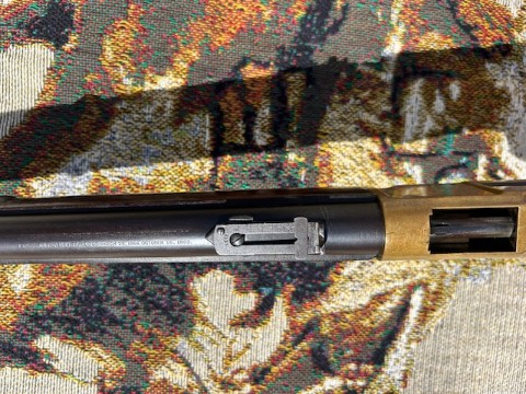 IMG_1479.jpeg IMG_1479.jpeg