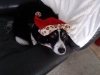 20211224_133923.jpg