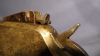 R203-5U.jpg