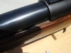 DSC00116.JPG