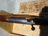 DSC00117.JPG