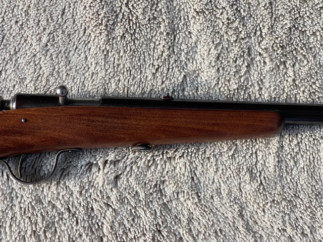 IMG_3749.jpeg IMG_3749.jpeg