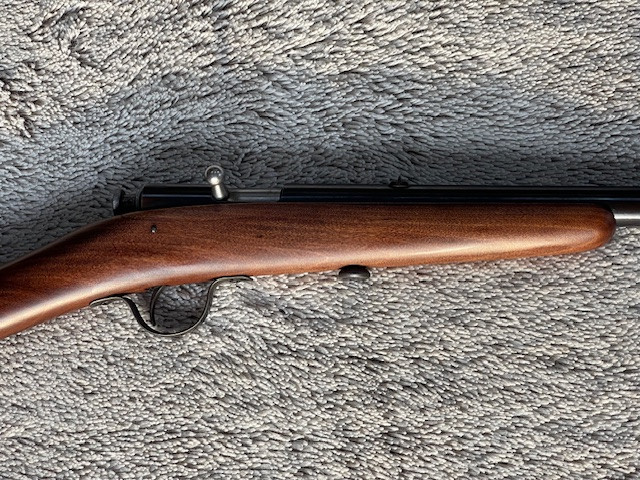 IMG_3751.jpeg IMG_3751.jpeg