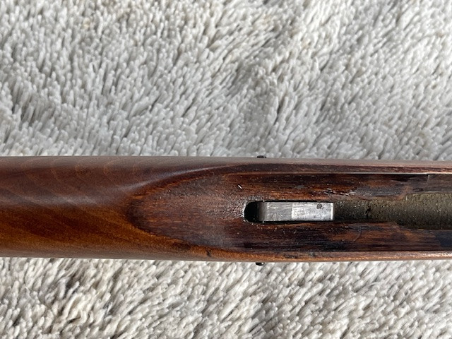 IMG_3759.jpeg IMG_3759.jpeg