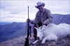 Goat-1.jpg