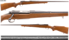 Standard-SN-494038-copy.jpg