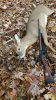 20191115_105729.jpeg