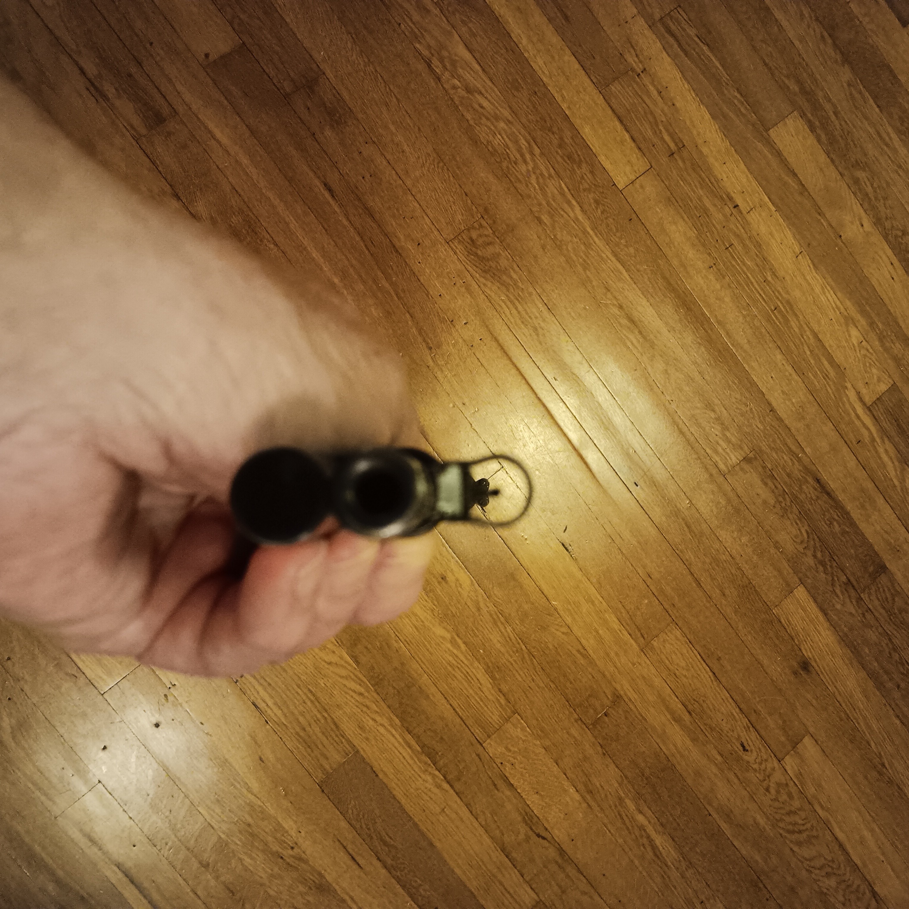 20260905_062731.jpg