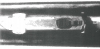 RearSight.jpg