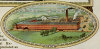 1870Plant.jpg