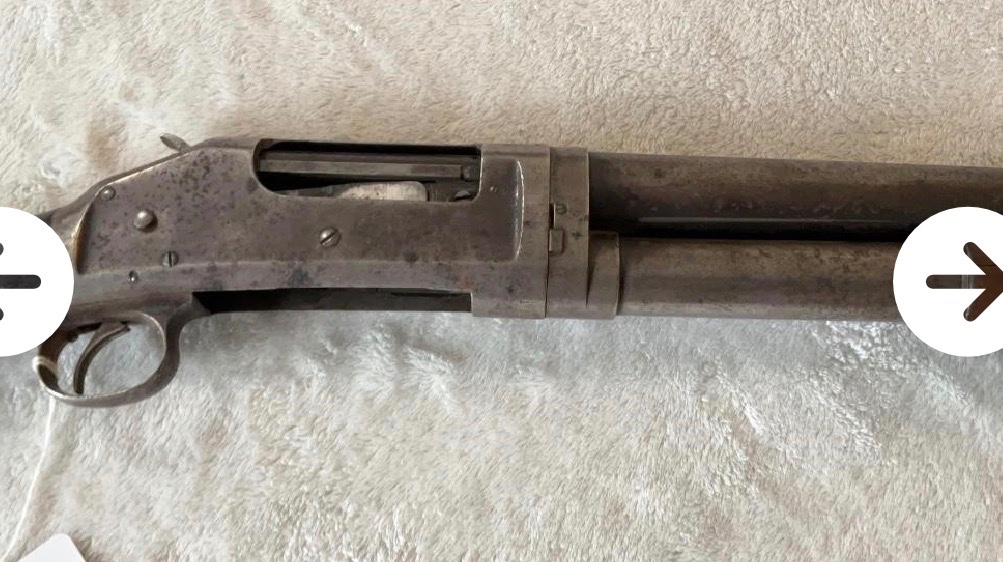 IMG_1935.jpeg IMG_1935.jpeg