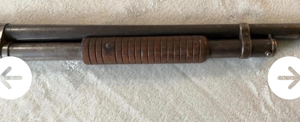 IMG_1936.jpeg IMG_1936.jpeg