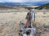2023-Colorado-M-70-wide.jpg
