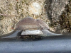 IMG_3710.jpeg