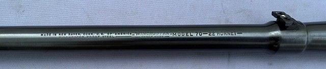Win-70-hornet--1.jpg