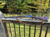 IMG_0491-Copy.JPG