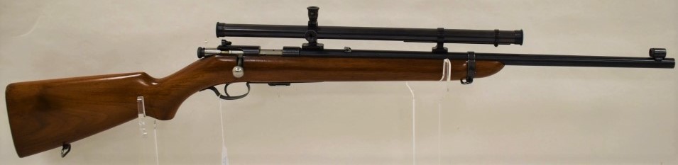243.jpg
