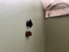 IMG_3990-1.jpeg