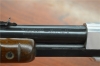 61f.jpg
