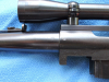 M-70-CARBINE-003.JPG