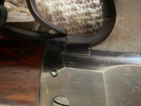 IMG_3883.jpeg IMG_3883.jpeg