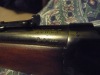 P1120177-copy.JPG