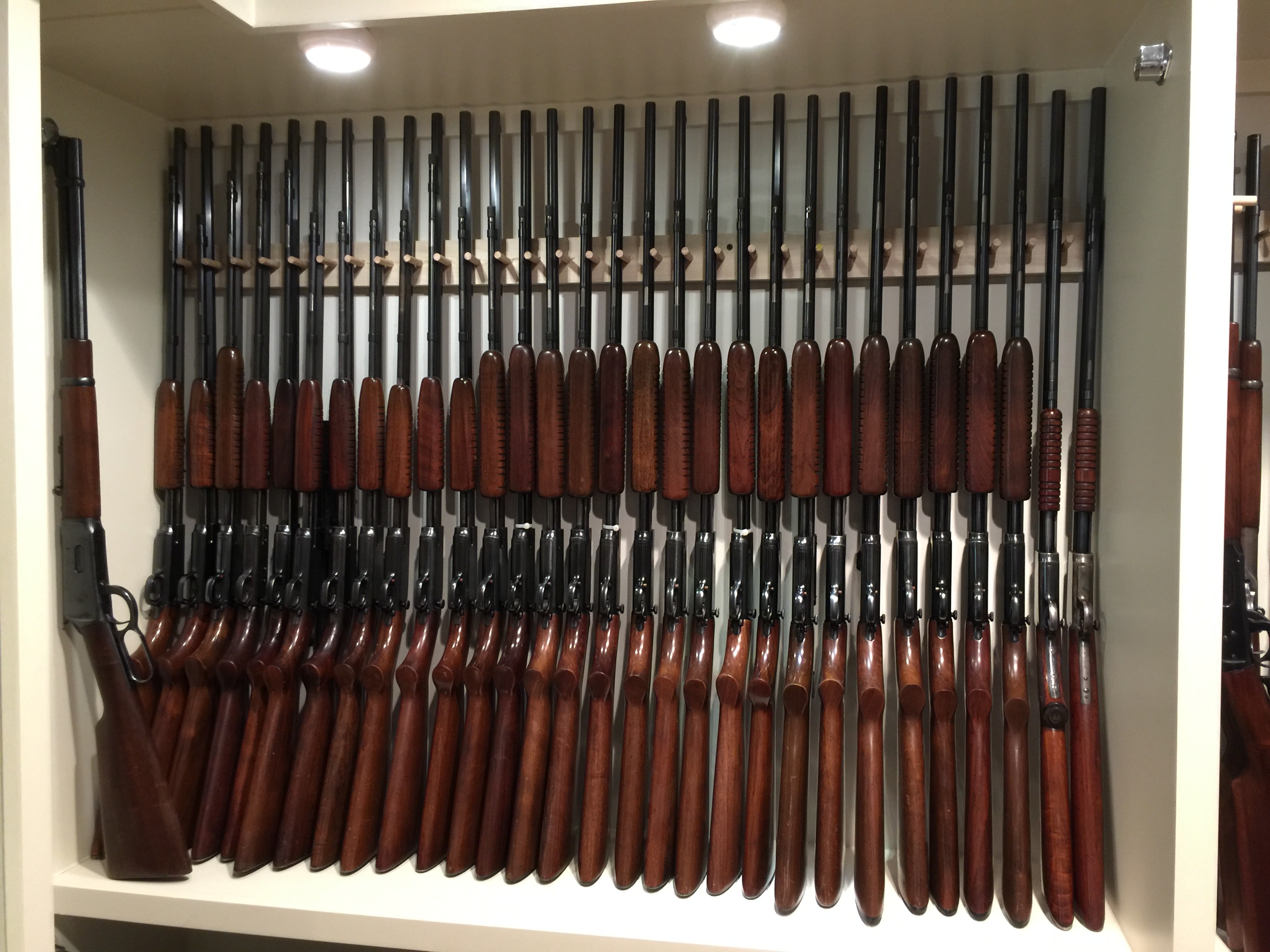 Rimfire.JPG