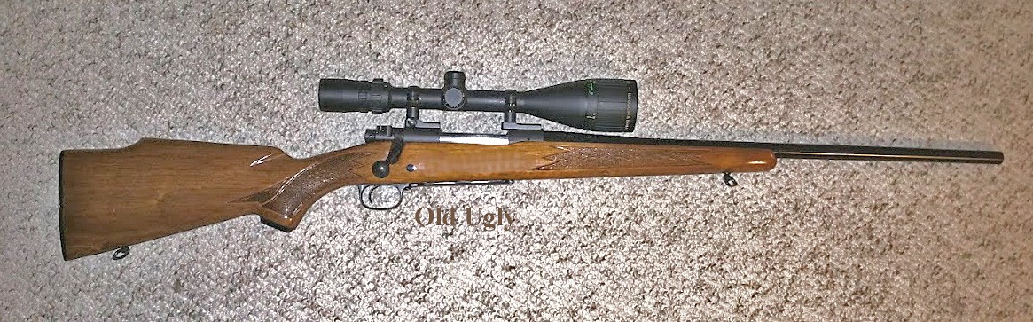 Old-Ugly-the-1966-Pretender.jpg Old-Ugly-the-1966-Pretender.jpg