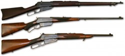 Model 1895 -Winchester Collector